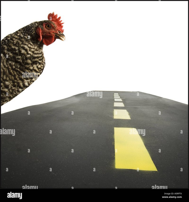 Learn about chicken road slot